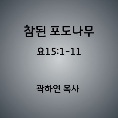 272477abca1c59aff9bd99bb89217633_1752242868_6773.jpg